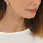 The Chain Addiction gold plated striped studs-