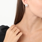 Archaics silver earrings ionic motif-