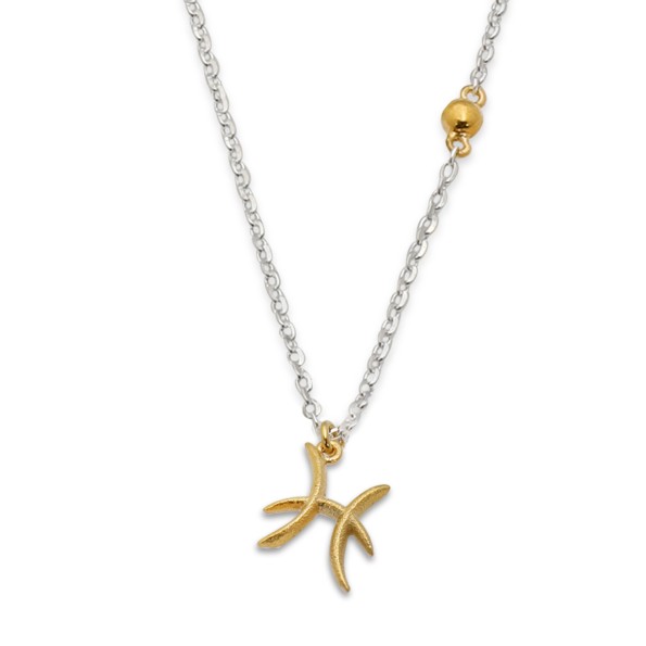 Star Sign κοντό ασημένιο κολιέ με το ζώδιο Ιχθείς