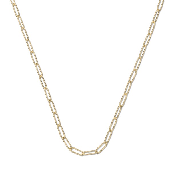 The Chain Addiction long gold plated chain necklace with forged oval links